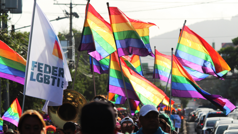 lgbt+ pride flags and activism for lgbt+ history month 2025